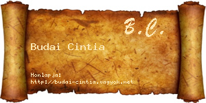 Budai Cintia névjegykártya